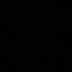 Meet your Posher, Bea